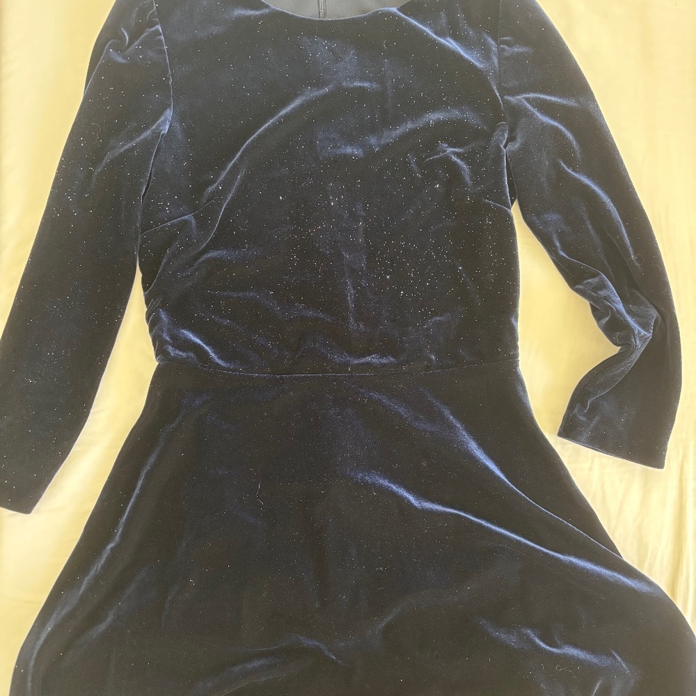 Zara Midnight Blue Velvet Dress with Subtle Sparkle - Picture 4 of 4
